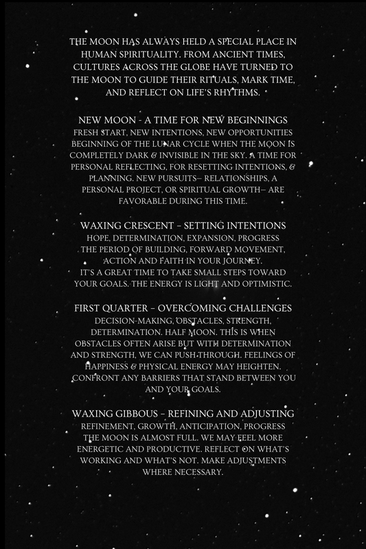 My Moon Journal︱Mastering Emotional Intelligence
